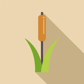 Cattail plant with long shadow flat design illustration Stock Illustration