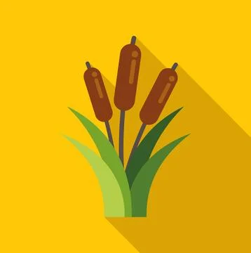 Cattail plants growing in a flat design illustration Stock Illustration