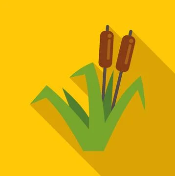 Cattail plants growing in flat design illustration Stock Illustration