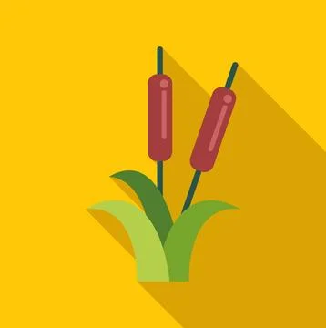 Cattail plants growing in flat design style Stock Illustration