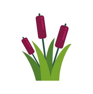 Cattail plants growing in a flat design illustration Stock Illustration