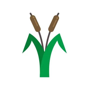 Cattail plants growing in a marsh ecosystem illustration 库存插图