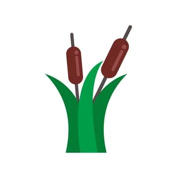 Cattail plants growing in marsh flat design illustration Stock Illustration