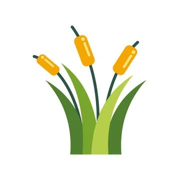 Cattail plants growing in marsh flat icon design Stock Illustration