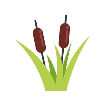 Cattail plants growing in marsh grass illustration 库存插图