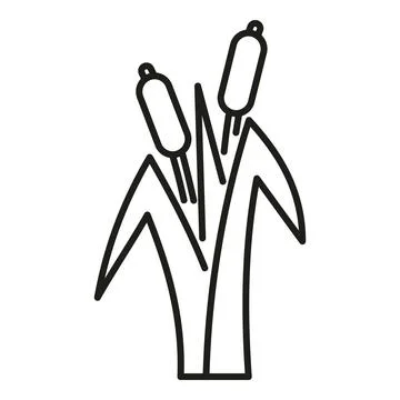 Cattail plants growing in marsh line art icon Stock Illustration