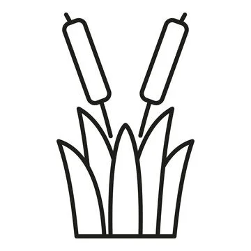 Cattail plants growing in a marsh or swamp Ilustração Stock