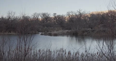Cattails and Red River Brush in Foreground with Partially Frozen River and Canyo Stockbeeldmateriaal 333265070
