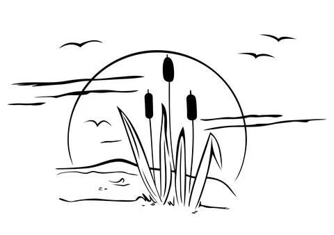 Cattails on illustration Stock Illustration