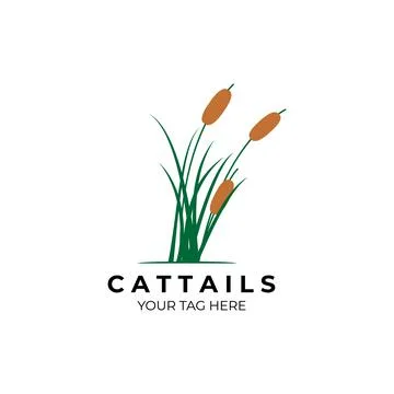 Cattails logo vector illustration design Stock Illustration