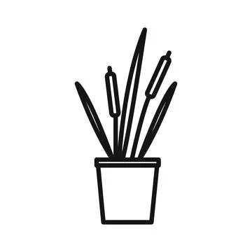 Cattails in pot icon Black line art vector Stock Illustration