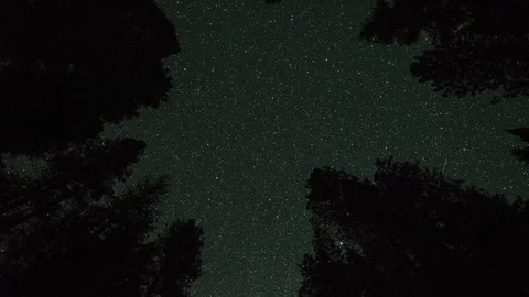 Cattle Camp Star Timelapse Stock Footage 78490051