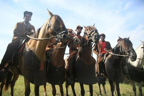 Cattle capture competition in the woods Stock Photos