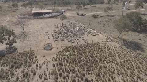 Cattle corral seen from above with drone Stock Footage 129451178