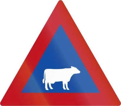 Cattle Crossing in Botswana - Old Design Stock Illustration