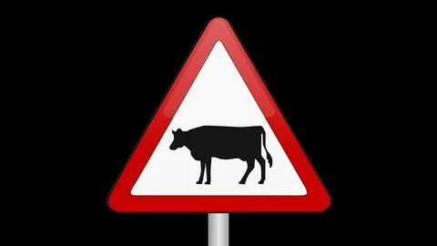 Cattle Crossing Sign Up And Down Alpha C... | Stock Video | Pond5