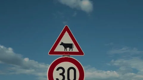 Cattle crossing warning sign and 30 speed limit zone on a sunny rural road Stock Footage 345232694