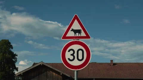 Cattle crossing warning sign and 30 speed limit zone on a sunny rural road Stockbeeldmateriaal 345232726
