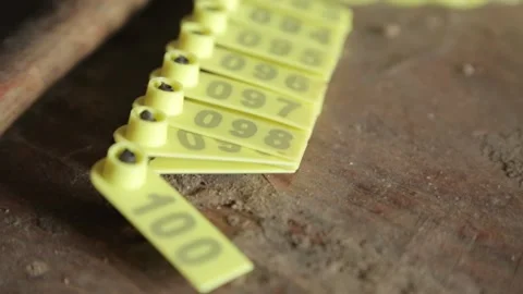 Cattle ear tags Stock-Footage 130965751
