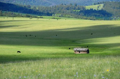Cattle farm hut Stock Photos