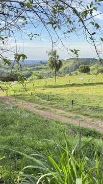 Cattle farm Foto stock