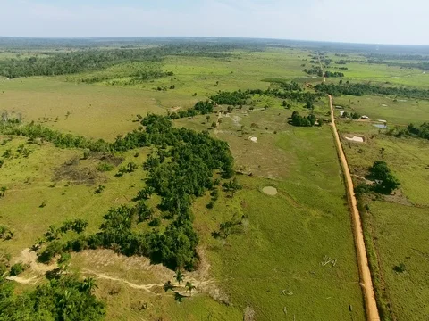 Cattle farms in the deforested area of the Amazon forest Stock Footage 76974878