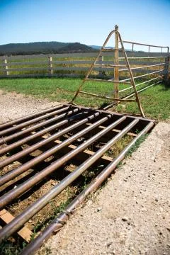 Cattle Grid Stock Photos