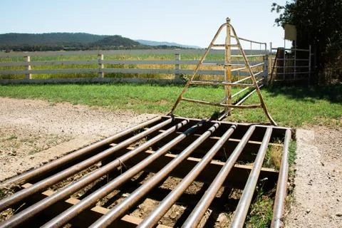 Cattle Grid Stock Photos