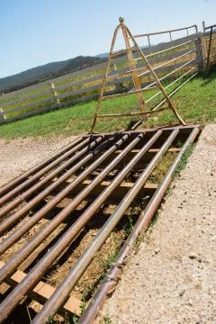 Cattle Grid Stock Photos