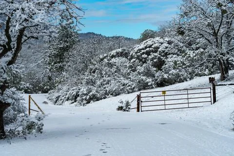 Cattle Guard in Snow Stock Photos
