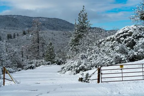 Cattle Guard in Snow Stock Photos