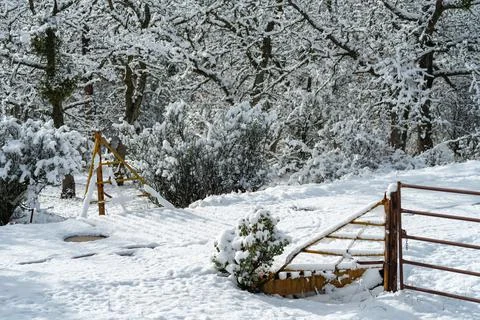 Cattle Guard in Snow Stock Photos