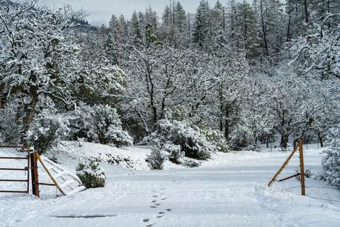 Cattle Guard in Snow Stock Photos