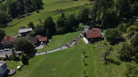 Cattle herd descending alpine road followed by tractors and cars Stock Footage 341840474