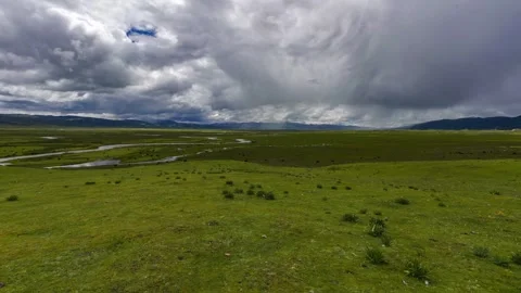 Cattle herd in grassland with time-lapse Video stock 337918744