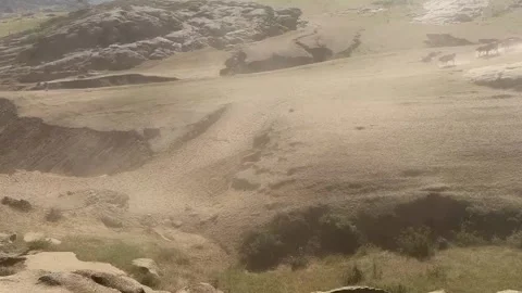 Cattle Migration Through a Dusty, Arid Landscape in Xinjiang, China Stock Footage 337856970