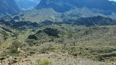 Cattle moving through the mountains 스톡 동영상 124967185