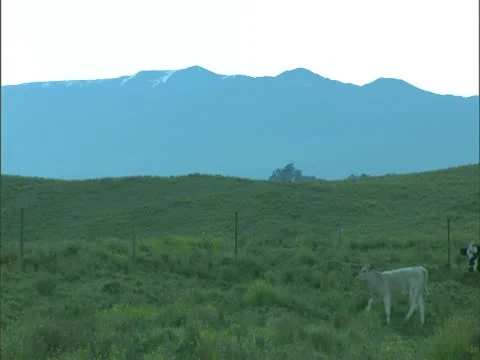 Cattle Pass in front of Mauna Kea Stock-Footage 22243748