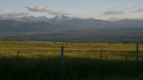 Cattle pasture w/Mountains Timelapse Stock Footage 238362966