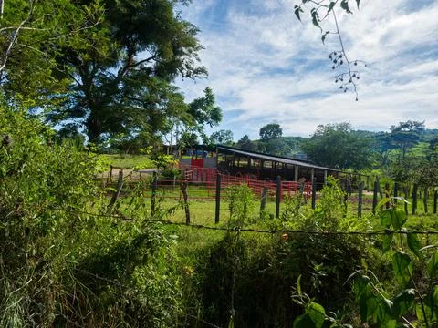 CATTLE RANCH Stock Photos