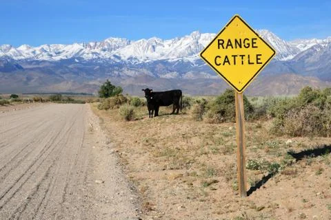 Cattle range sign on road Stock Photos
