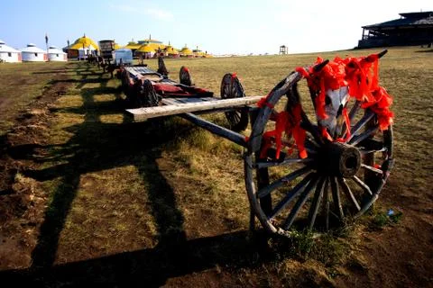 Cattle Skeleton Stock Photos