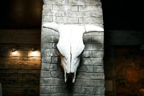 A cattle skull hangs on the wall. Foto stock