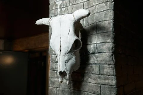 A cattle skull hangs on the wall. Stock Photos