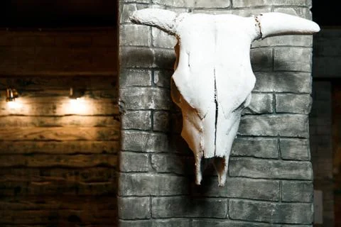 A cattle skull hangs on the wall. Stock Photos