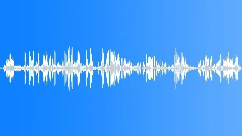 CATTLE Sound Effect