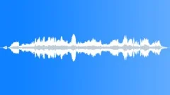 CATTLE Sound Effect
