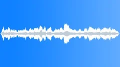 CATTLE Sound Effect