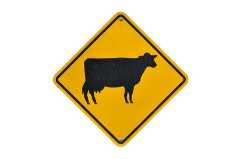 Cattle traffic warning on white Illustrazione stock