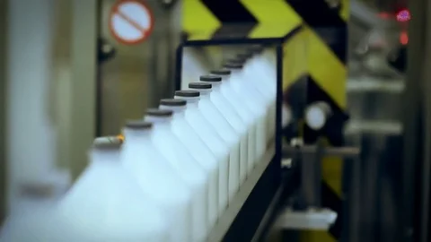 Cattle Vaccine Bottling Process: Pharmaceutical Production Line Stock Footage 80342486